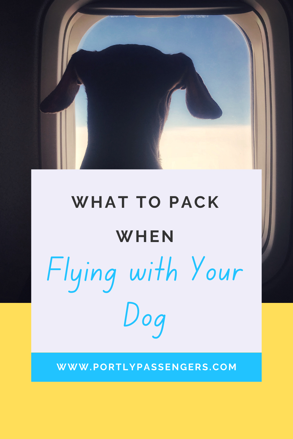 What Can I pack for my dogs Flight? | Portly Passengers