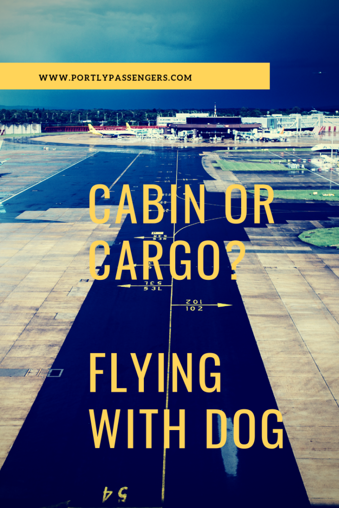 Can my dog go in the cabin while flying?