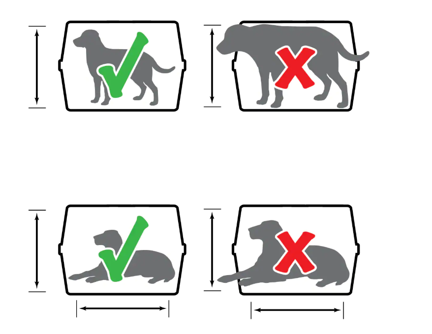 Visual representation of dogs in hard cargo cases for traveling showing what is correct and incorrect for flying. 
