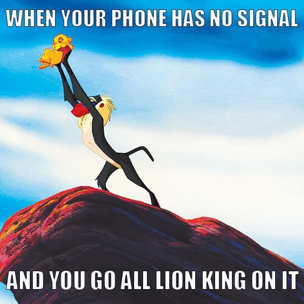 When your phone has no signal you go all lion king on your smartphone. 