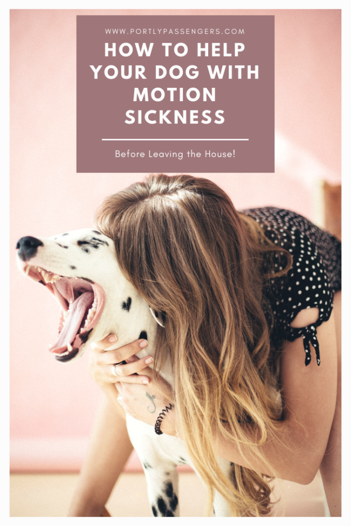 tips-for-helping-dog-with-motion-sickness-before-leaving-house-portly